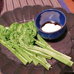 たまには山菜いかが こごみの1番美味しい調理法 レシピ 作り方 By ジェシカ A A 楽天レシピ